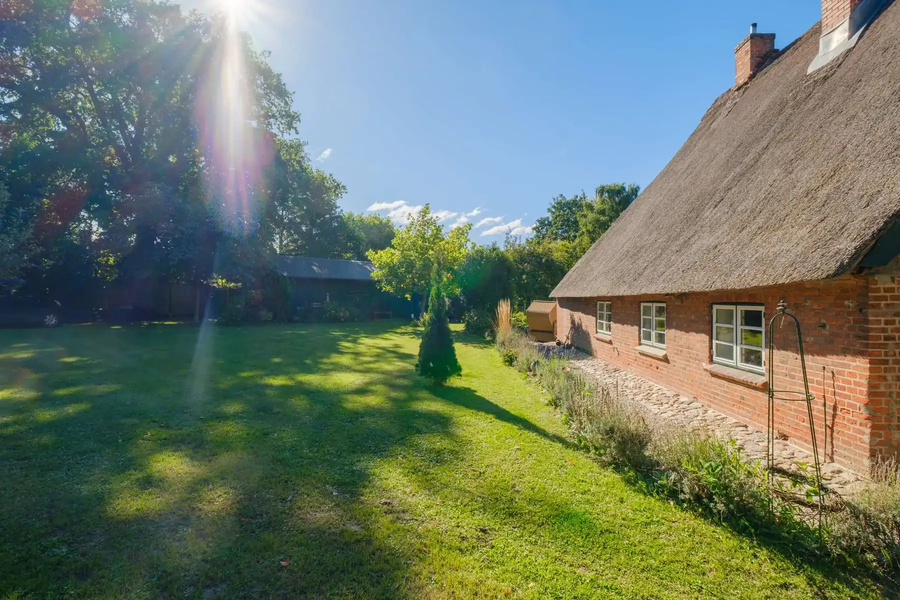 Gartenaufnahme im Gegenlicht mit Reetdachhaus im Hintergrund